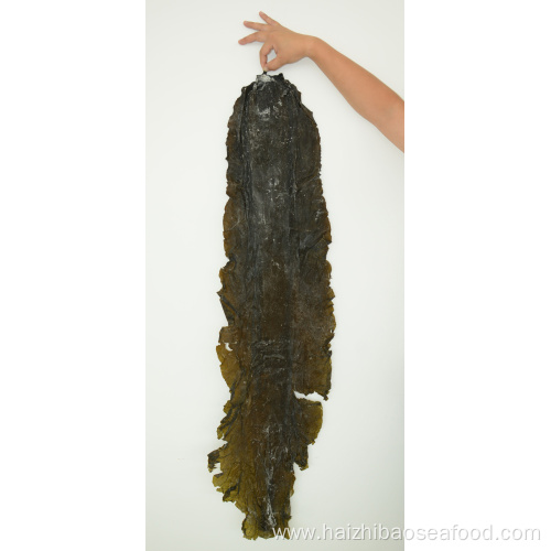 Healthy Beauty Slimming Seaweed Food Whole Dried Kelp